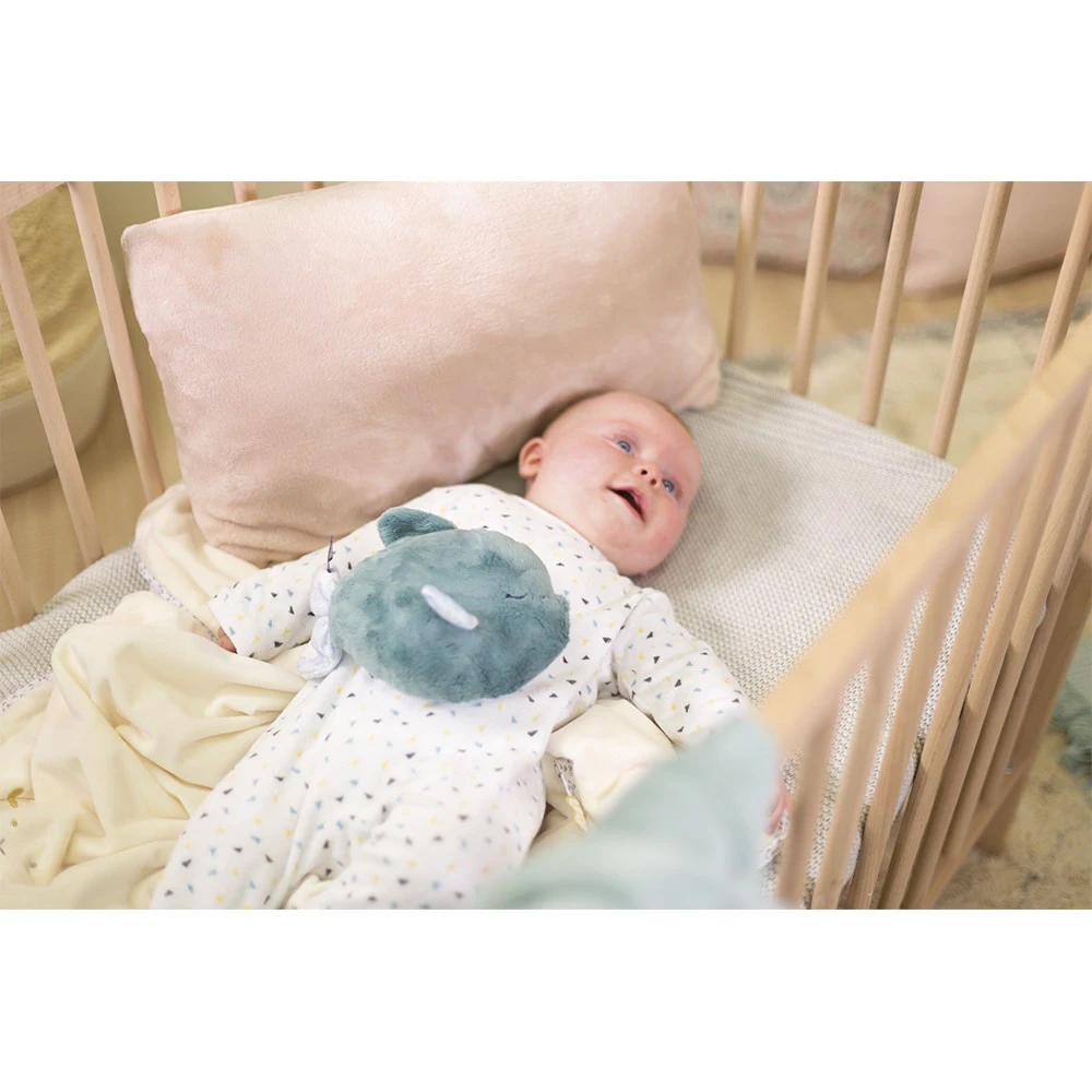 Kaloo Peluche Bouillotte Poisson Small – Image 4