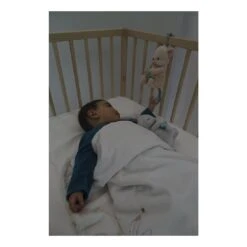 Doudou Musical Renard Home - Kaloo