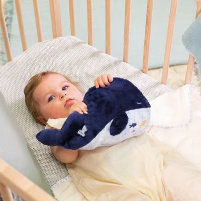 Kaloo Peluche Bouillotte Bien-ĂȘtre Baleine Petit Calme (17 Cm) â Image 2