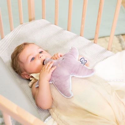 Kaloo Peluche Bouillotte Bien-être étoile Petit Calme (22 Cm) – Image 7