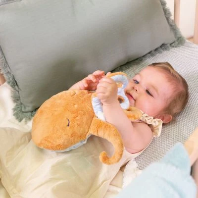 Kaloo Peluche Bouillotte Bien-ĂȘtre Poulpe Petit Calme (28 Cm) â Image 6