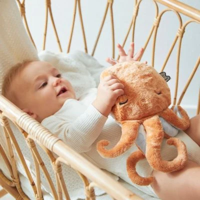 Kaloo Peluche Bouillotte Bien-ĂȘtre Poulpe Petit Calme (28 Cm) â Image 9